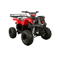 Один цилиндр Mini ATV с сертификатом EPA (MDL GA003-2)